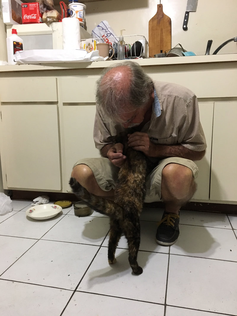 Updates Operation Paw